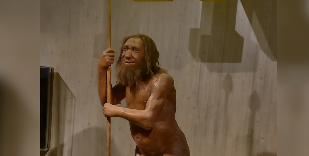 Ausflug ins Neanderthal