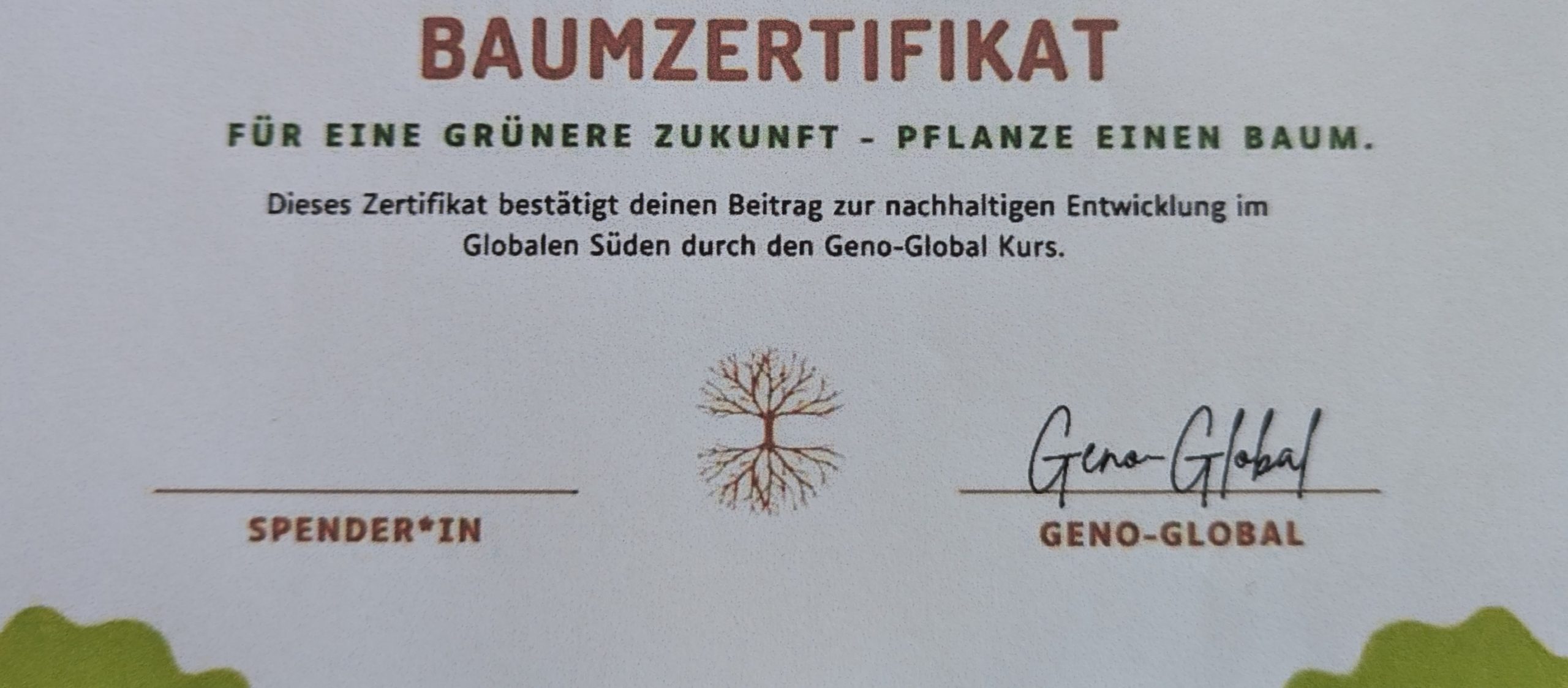 Geno-Global – das Geno pflanzt Bäume 